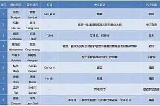 德甲积分榜：勒沃库森25轮不败，剩9轮领先第二拜仁10分